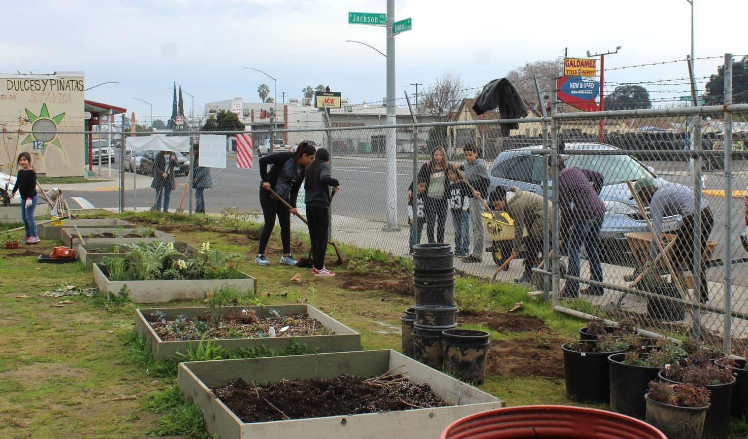 Community members work on the Fresno Community Gardens. Credit: Lana Silva
